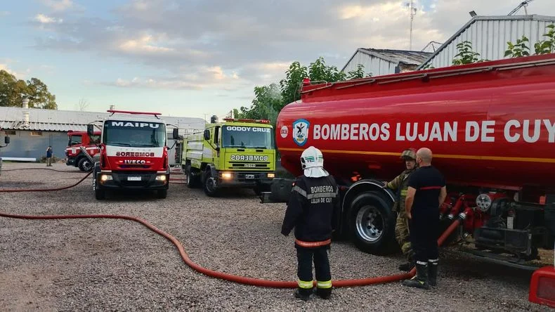 Varias dotaciones de bomberos trabajaron para apagar las llamas