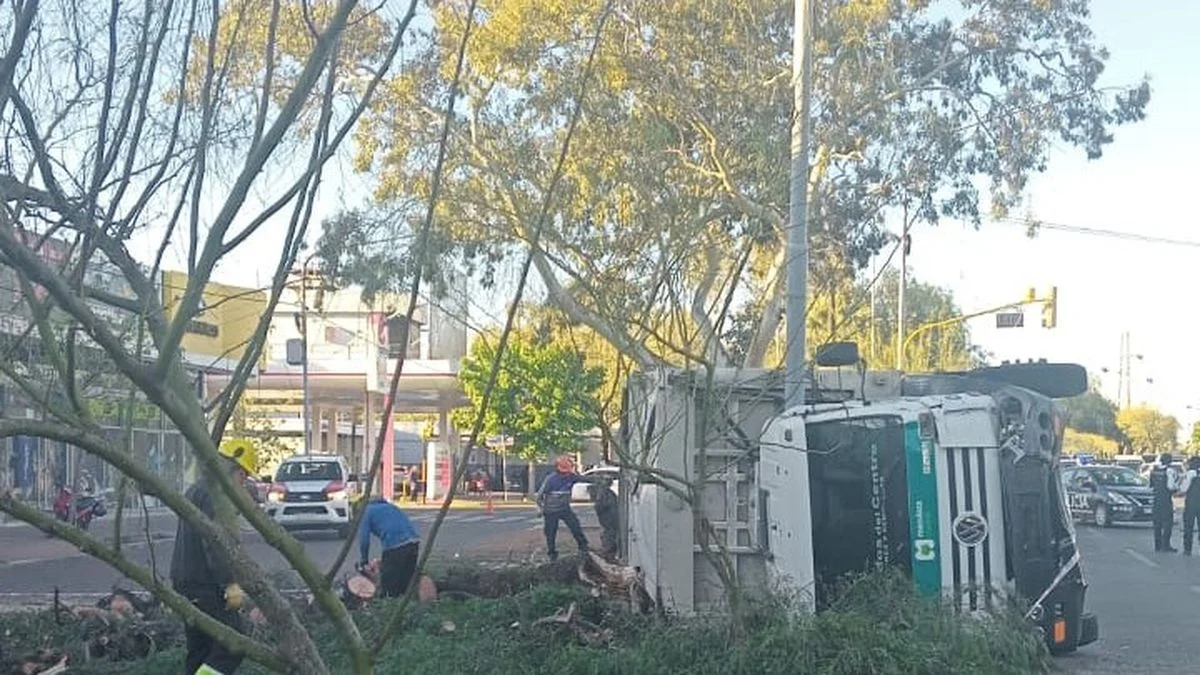 Vuelco de camión recolector de basura en la Costanera: chocó contra una luminaria y derribó un árbol