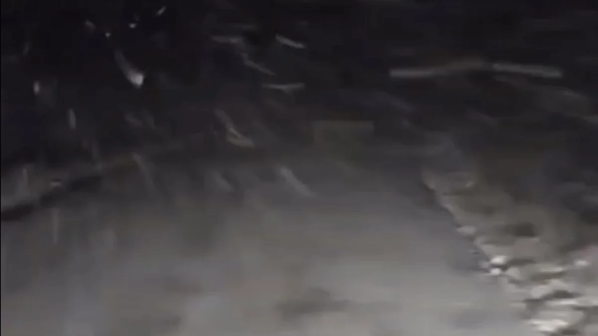 Nieve en el Divisadero Largo: la llegada del frente frío se hizo sentir en San Rafael