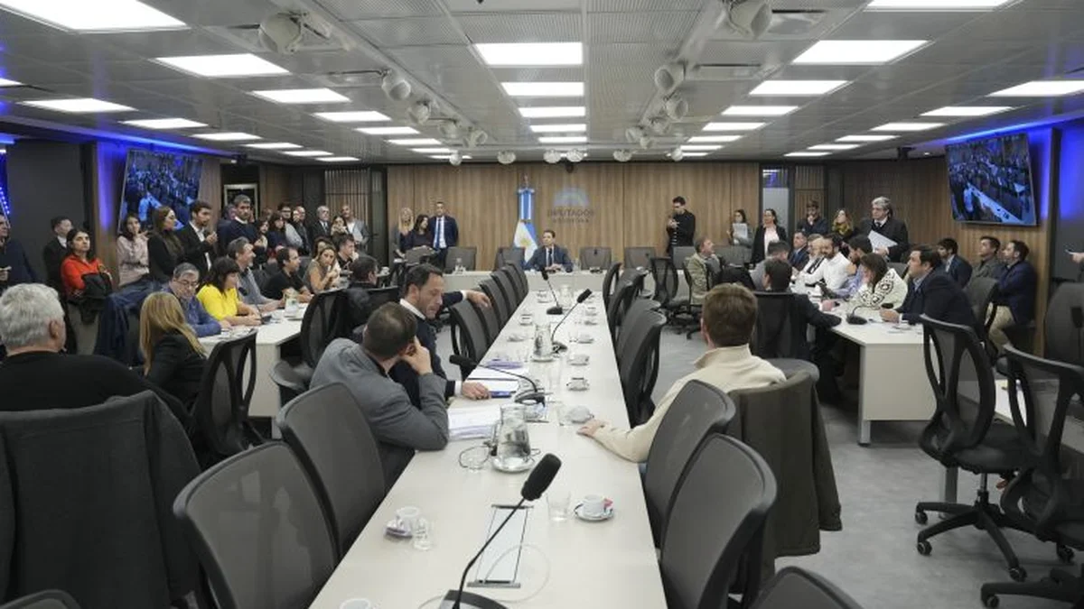 Se reactiva el Congreso con dos temas calientes: las coimas en la ANDIS y el fentanilo contaminado