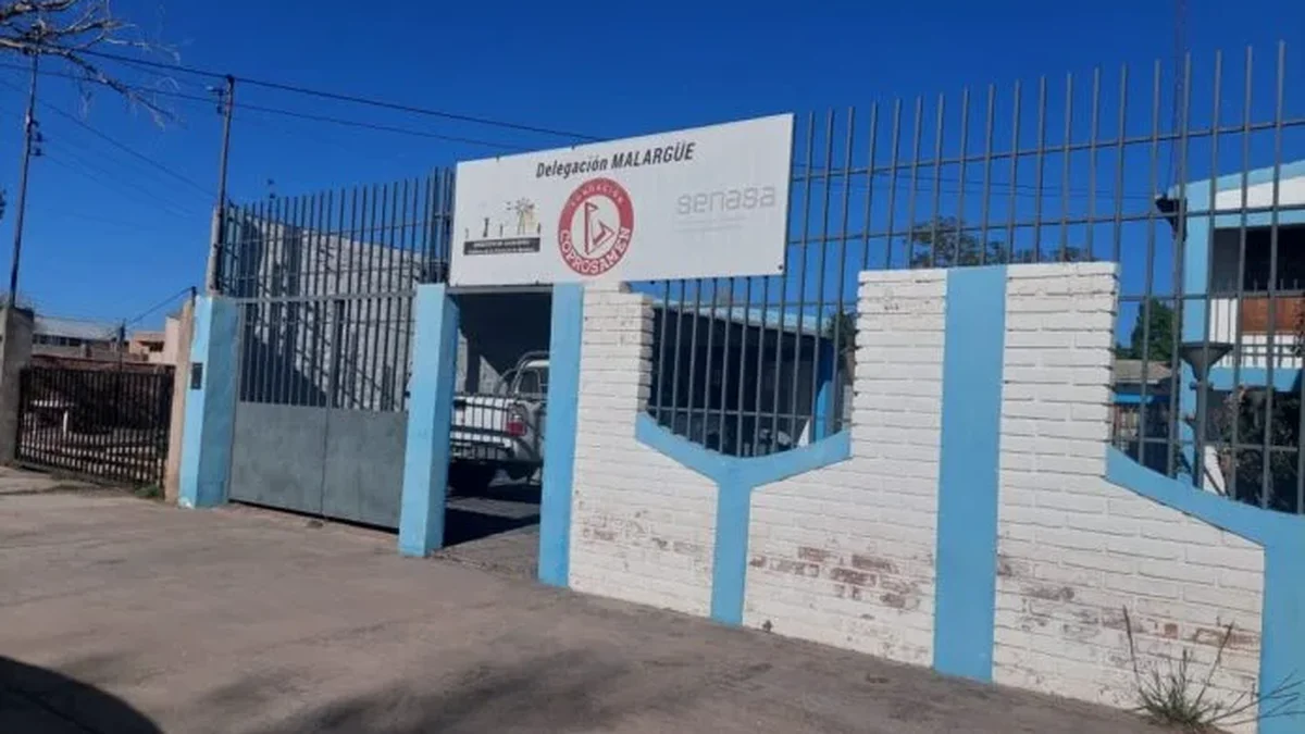 Robo en la oficina de Ganadería de Malargüe: sustrajeron una caja fuerte y una peladora de animales