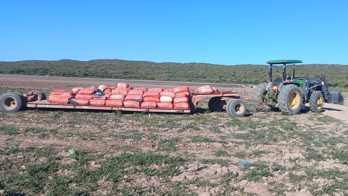 Tragedia en una finca de San Rafael: murió un trabajador tras ser aplastado por un tractor