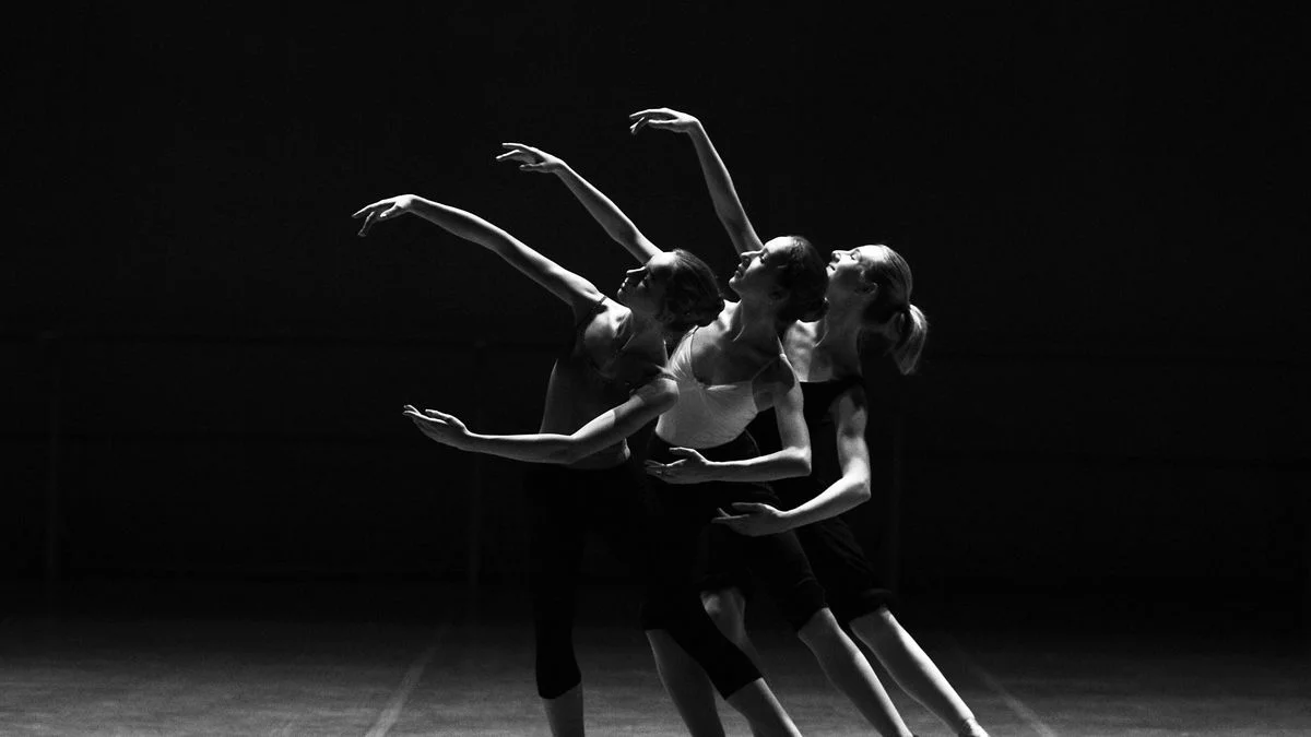 Nuevos talleres anuales llegan al Teatro Independencia