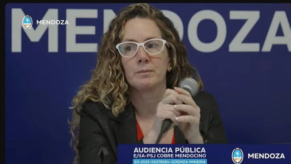 Con una seguidilla de oradores en contra de San Jorge arrancó la audiencia del Gobierno y la empresa minera