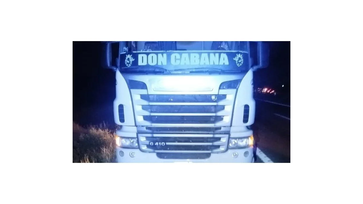 Peligro al volante: detienen a un camionero ebrio que circulaba a contramano por la Ruta 40