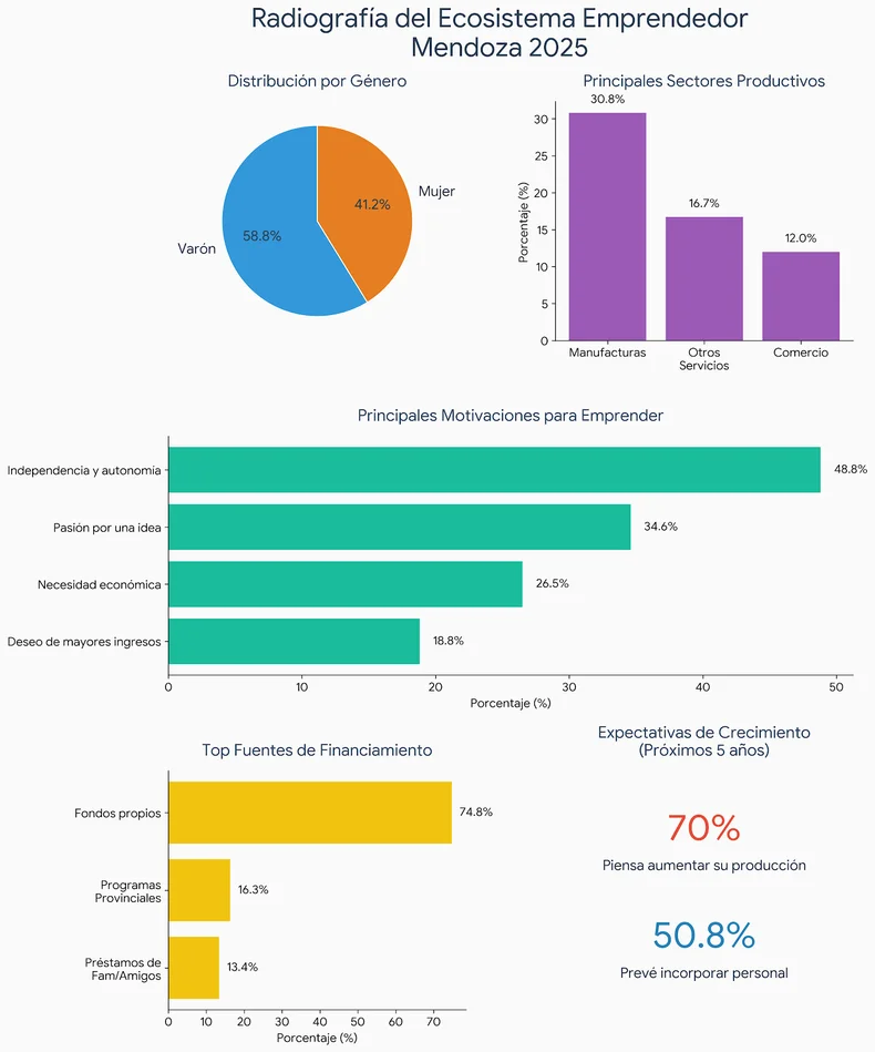 Elaboración propia en base a la investigación del sector emprendedor del Gobierno de Mendoza.