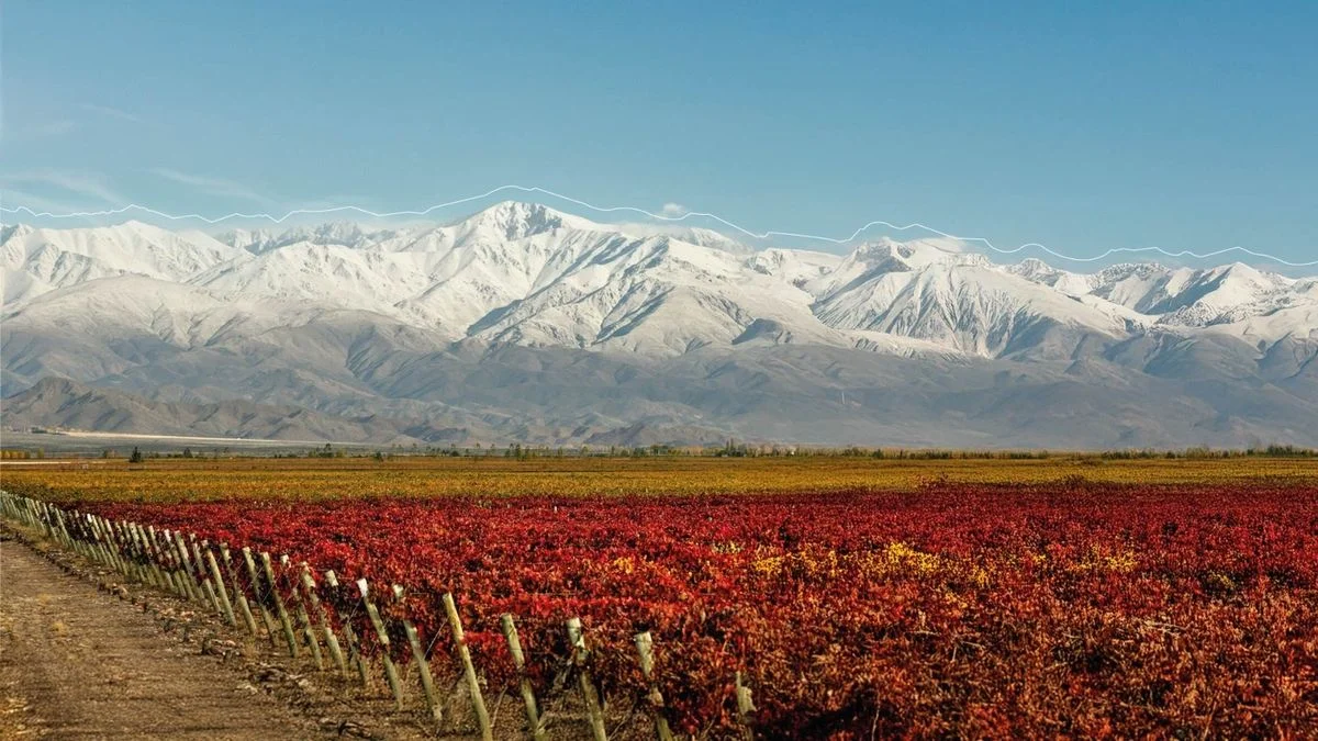 Vinexpo Explorer 2026 a granel calienta motores: últimos días para inscribirse al encuentro