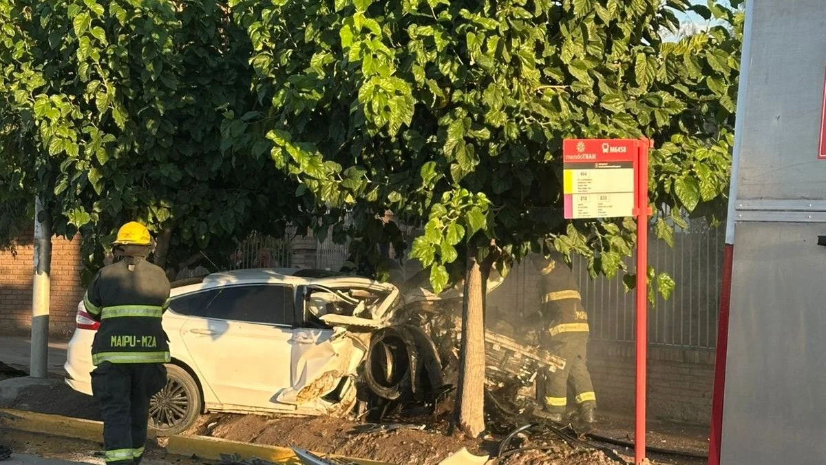 Un joven grave tras chocar con su auto contra un árbol en el carril Rodríguez Peña