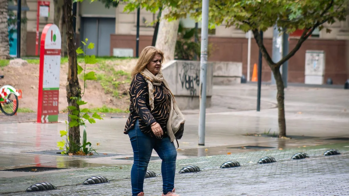 Pronóstico: parcialmente nublado con poco cambio de la temperatura en Mendoza