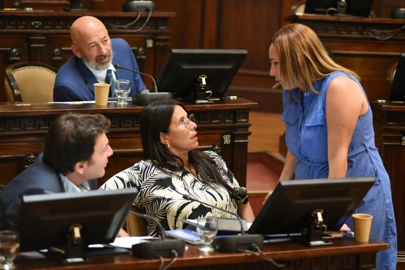 La senadora Adriana Cano y compañeros del bloque del PJ impulsan la regulación de escuelas de verano. 