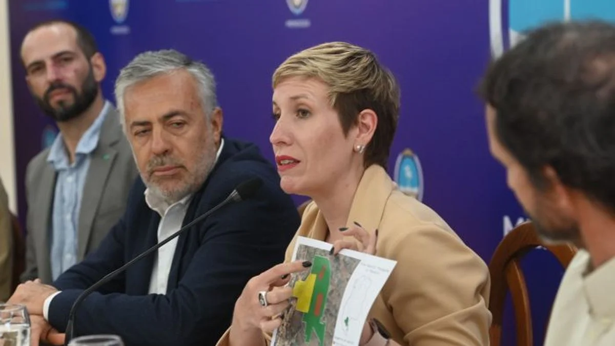 Diputados quieren citar a Latorre tras la difusión del informe de la Facultad de Medicina sobre San Jorge