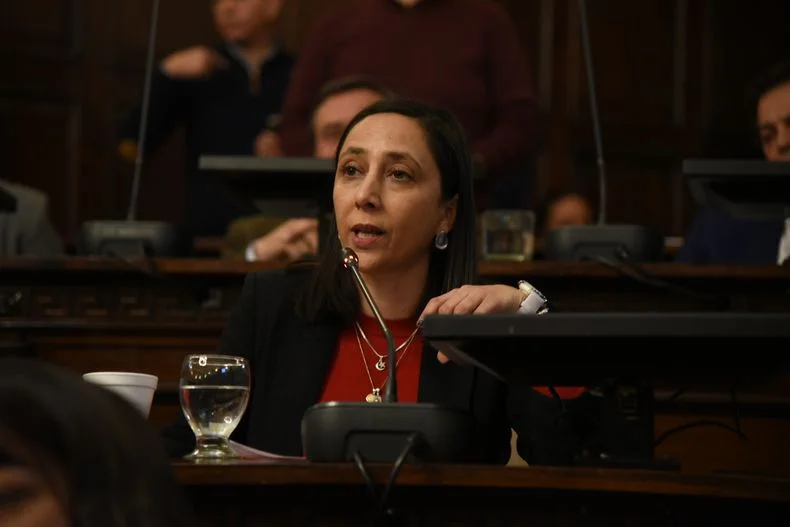 Mariana Zlobec argument&oacute; el proyecto en el Senado.&nbsp;