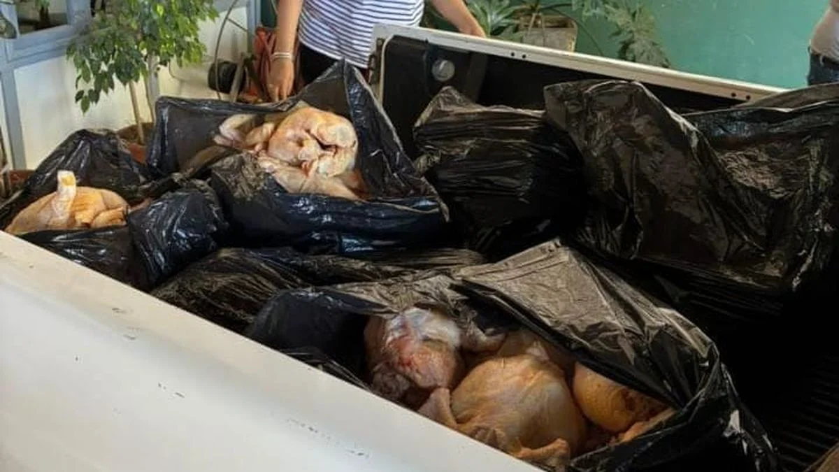 Decomisan más de 260 kilos de carne en mal estado en operativos en General Alvear y Guaymallén