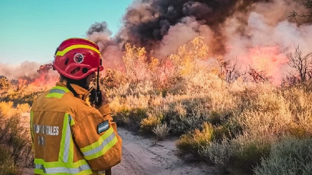 Prender fuego en zonas no autorizadas: de cuánto son las multas