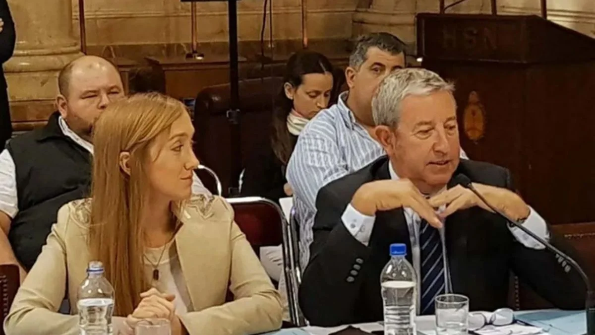 Jueces por decreto: sólo Cobos, Verasay y Sagasti repudiaron la gambeta de Javier Milei al Senado