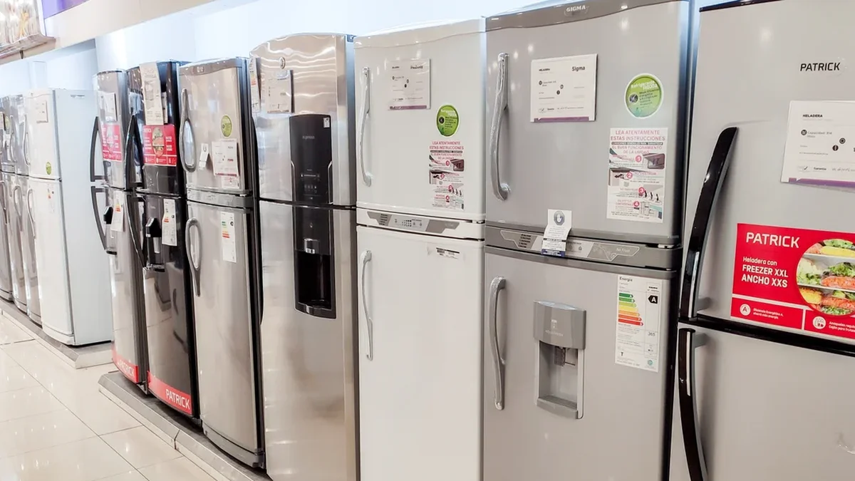 Un pequeño electrodoméstico lidera las preferencias de los consumidores, según un estudio