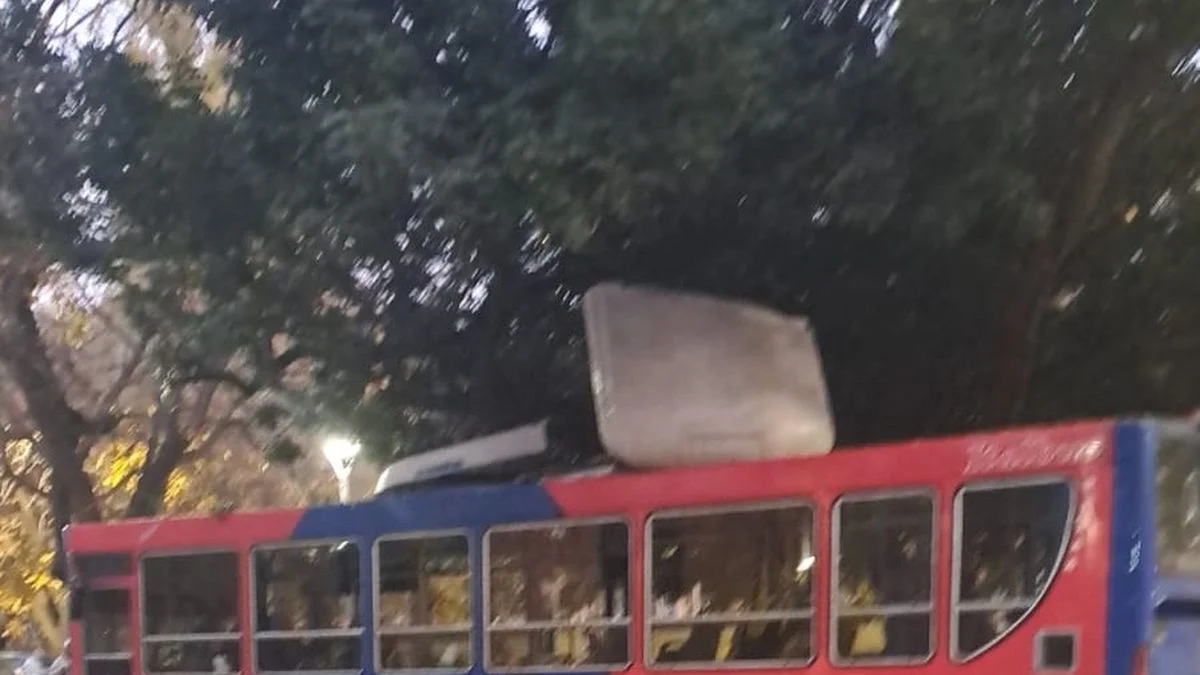 Susto de pasajeros: un colectivo impactó con una rama y perdió parte del techo y el aire acondicionado