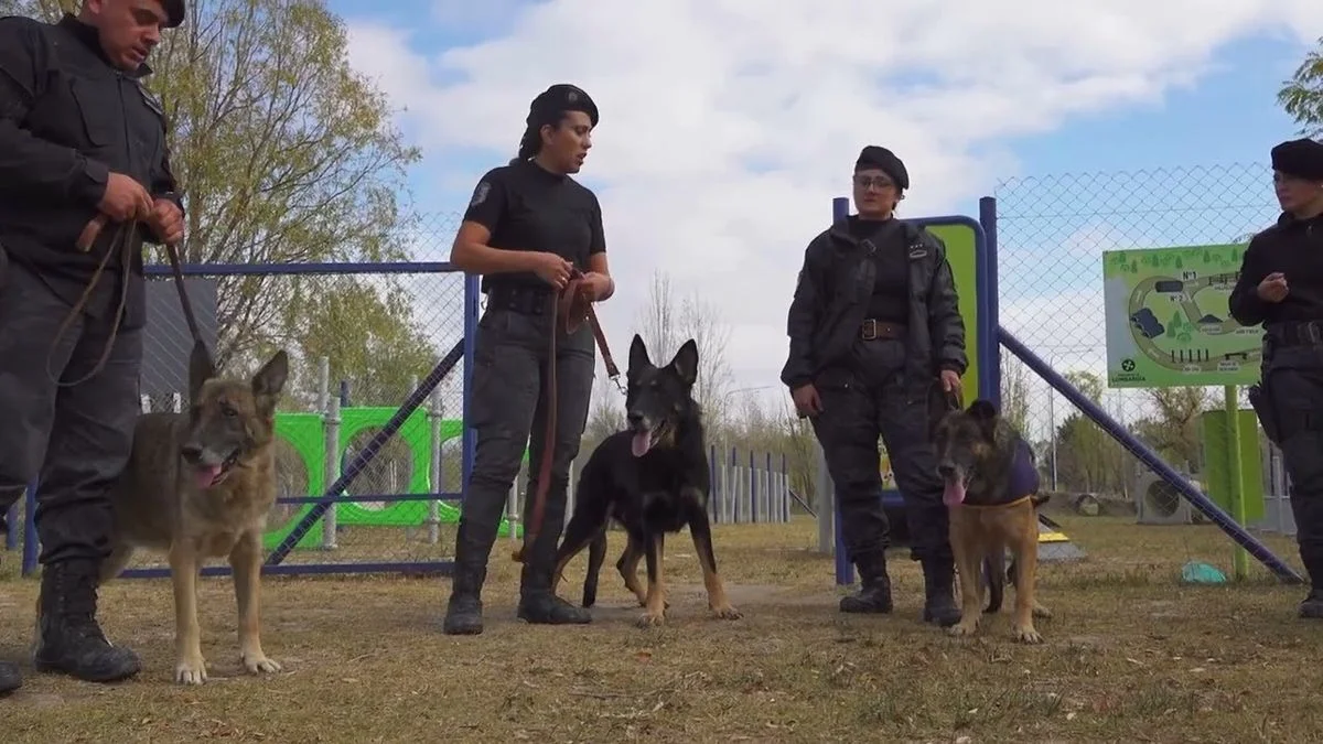 Con ayuda de un perro de la Policía esclarecieron dos robos en Maipú y Luján
