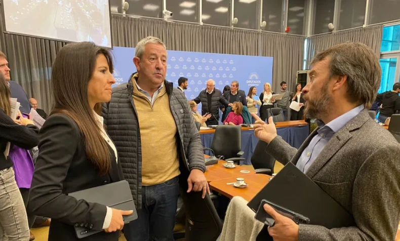 Pamela Verasay y Lisandro Nieri, los diputados votan seg&uacute;n la decisi&oacute;n de Cornejo, mientras que Julio Cobos est&aacute; en la vereda de enfrente con varios temas.&nbsp;