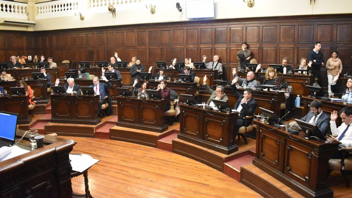 Senado vuelve a tratar la ampliación de procesos en pequeñas causas