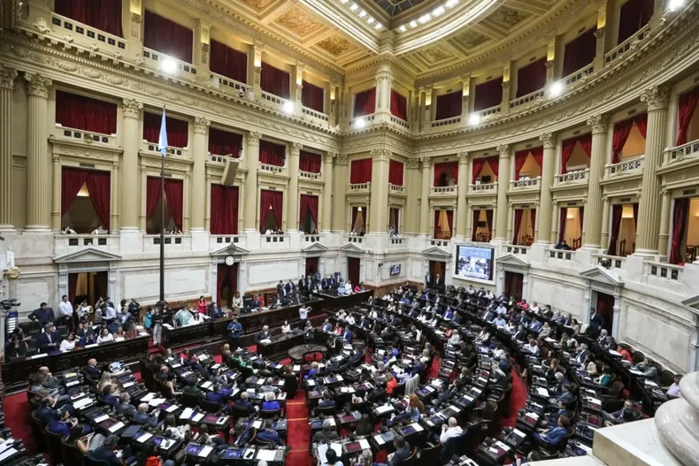 Mercedes Llano espera que el Congreso apruebe su iniciativa que es acompa&ntilde;ada por otras legisladoras libertarias.&nbsp;
