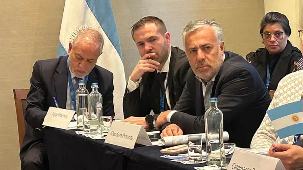 San Jorge: el Gobierno defendió la legalidad de la audiencia pública y pidió rechazar un amparo ambiental