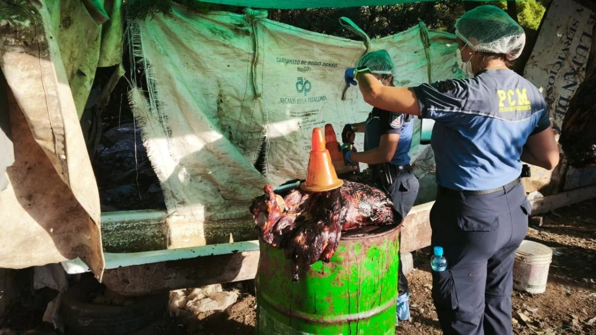 Desbaratan una red de faena clandestina y secuestran más de 1.800 kilos de carne equina