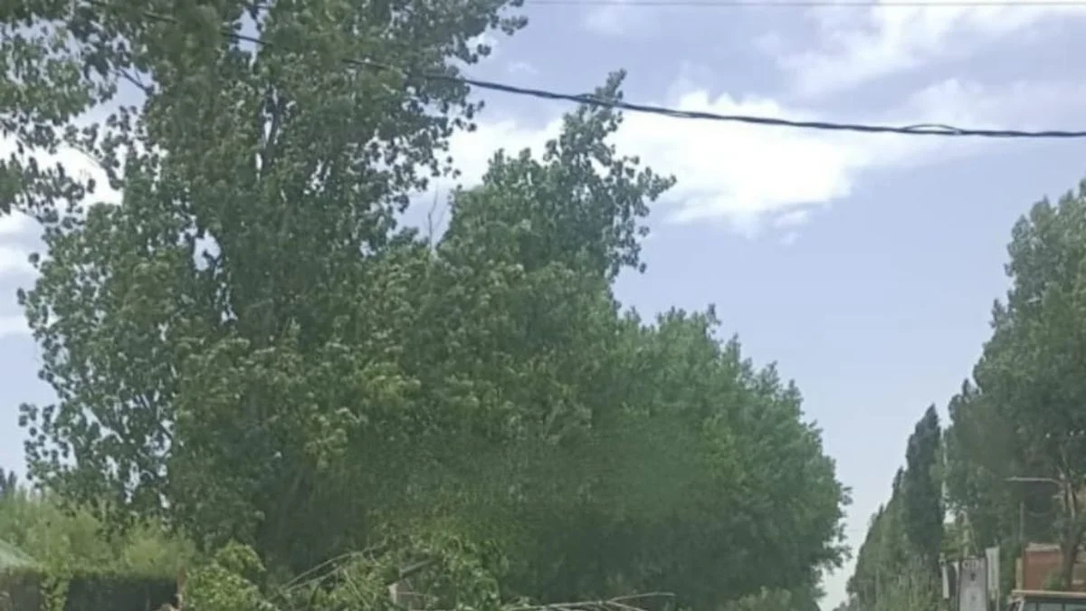 Zonda: suspenden las clases presenciales en Malargüe para los turnos tarde y noche