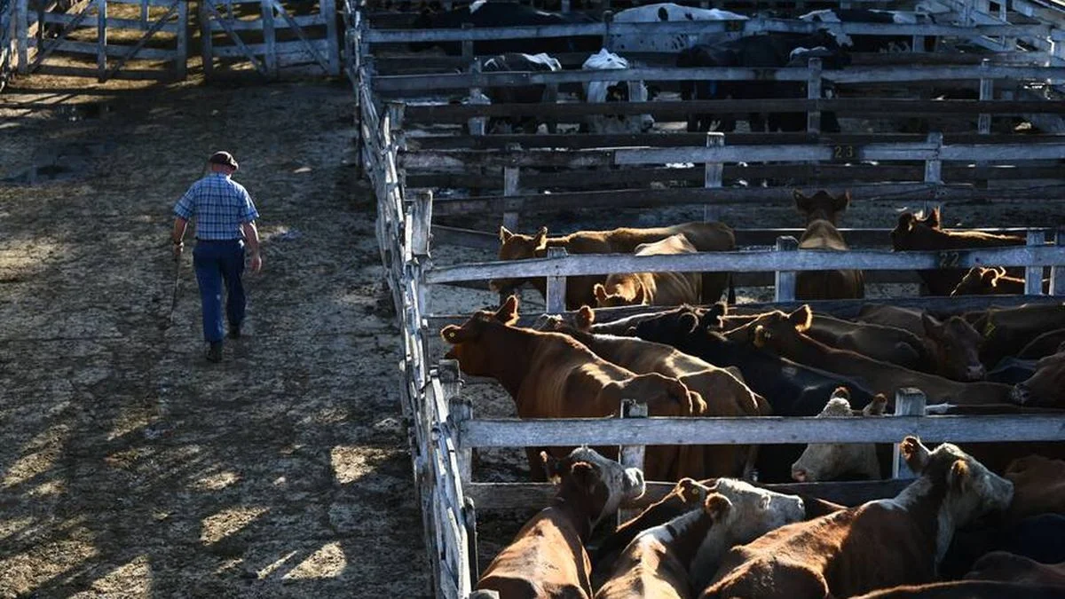 Animales flojos de papeles en General Alvear: un camionero quedó detenido