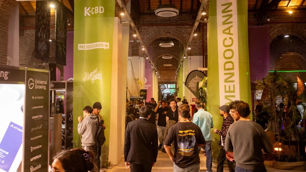 Mendoza se consolida como el epicentro de la producción de cannabis
