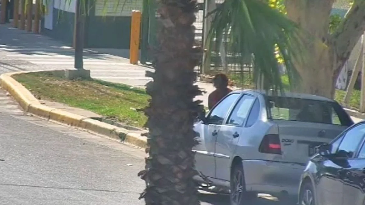 Video: intentó robar en un auto estacionado en pleno centro de San Martín y fue detenida
