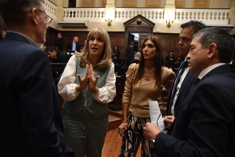 El Senado tiene la mayor&iacute;a para aprobar la suspensi&oacute;n de las PASO, y el aval del PJ lo dejar&iacute;a a poco de la unanimidad.