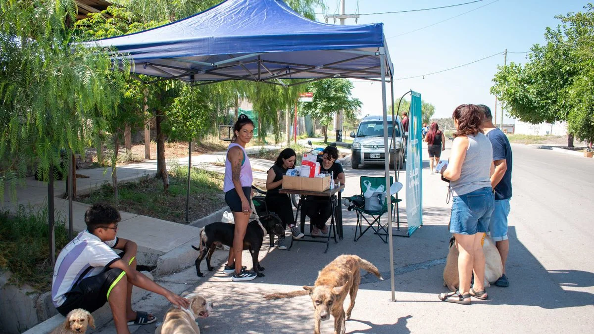 Salud animal en Ciudad: en qué días y horarios se atenderán mascotas