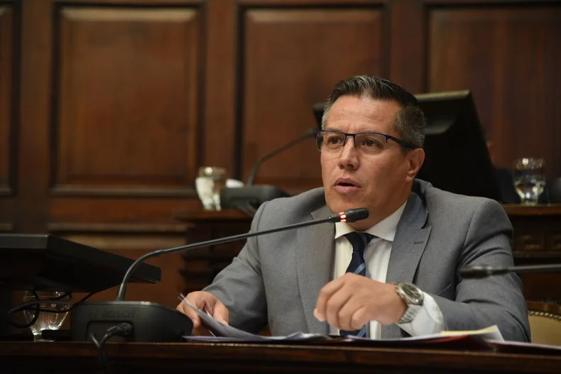El senador radical David S&aacute;ez blanque&oacute; que se hizo una ley para adaptar una resoluci&oacute;n del Ministerio de Seguridad de la Naci&oacute;n.&nbsp;