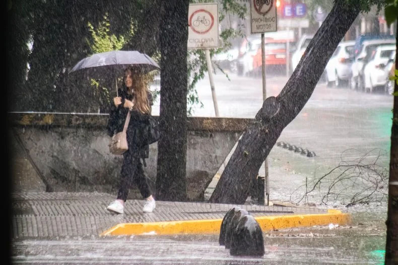Por momentos, ni el paraguas resisti&oacute; la lluvia y el granizo.&nbsp;