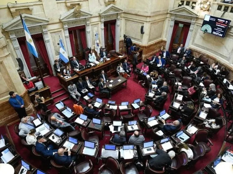 El Senado podr&iacute;a dejar firme la ley de emergencia a la discapacidad con amplio apoyo de la oposici&oacute;n.&nbsp;