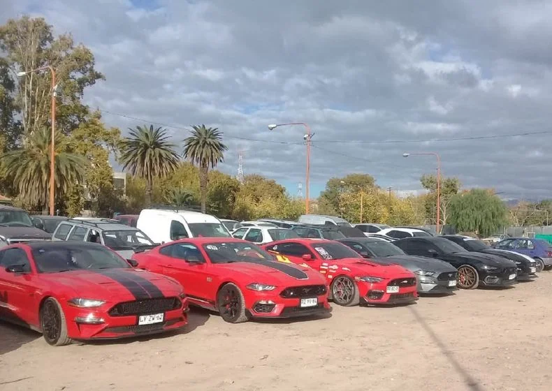 Los autos secuestrados en el Parque San Martín.