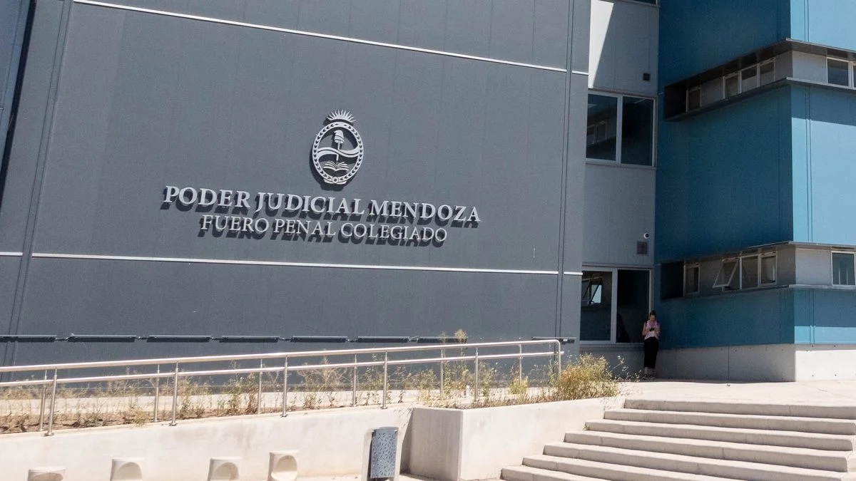 Mendoza cerró el 2024 con cinco femicidios y reclaman más inversión en políticas de género