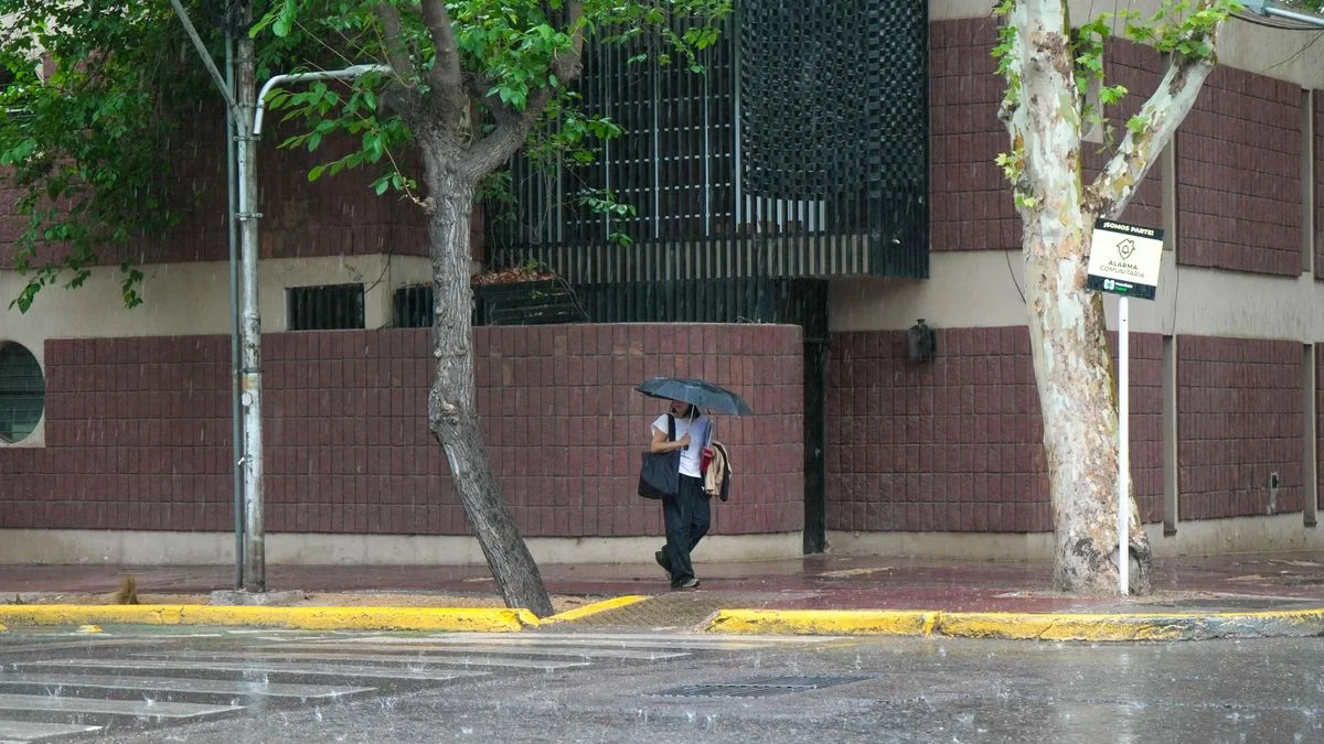 Árboles, postes y cables caídos: el saldo de la tormenta que arrasó a Mendoza