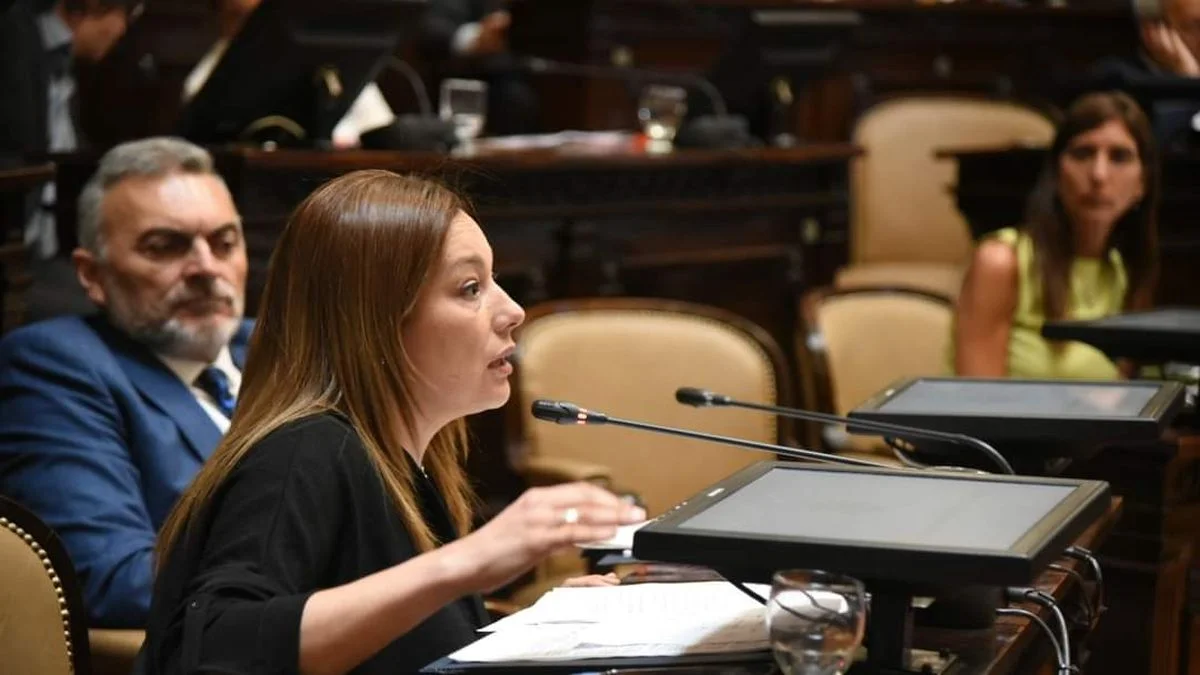 El PJ presiona por un proyecto sobre escuelas de verano que se atascó en Diputados: el pedido de una familia