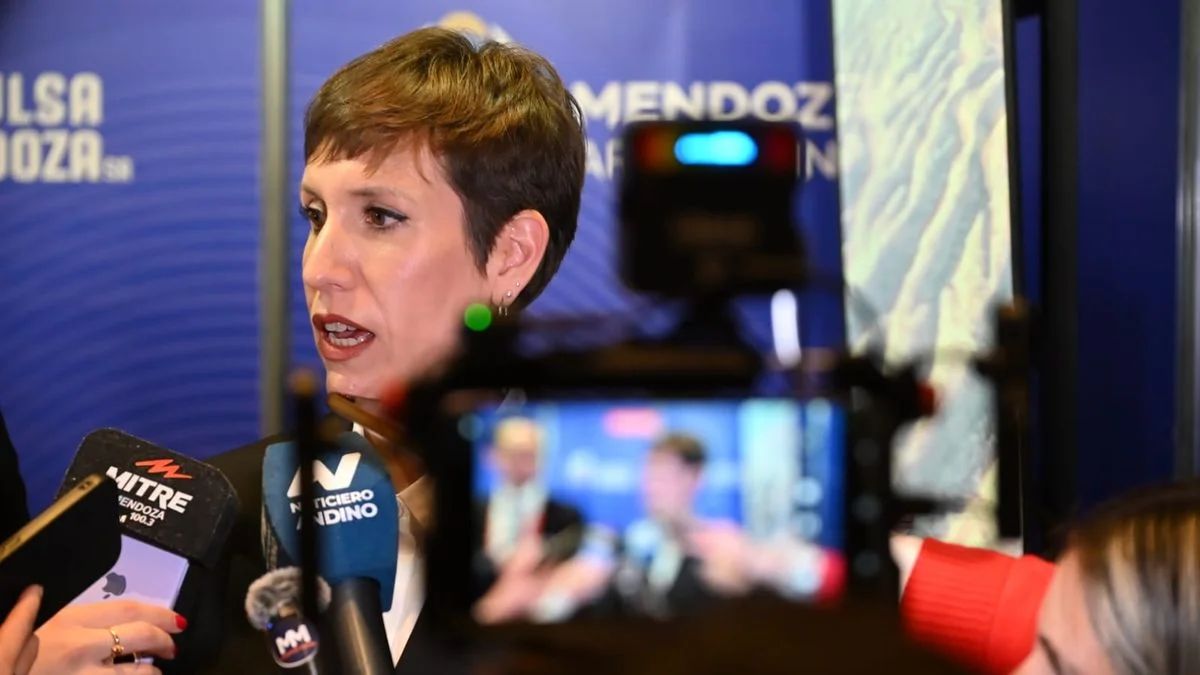 Latorre: "Decir que no se puede hacer minería porque no se pudo controlar las cloacas es de mucha mala fe"
