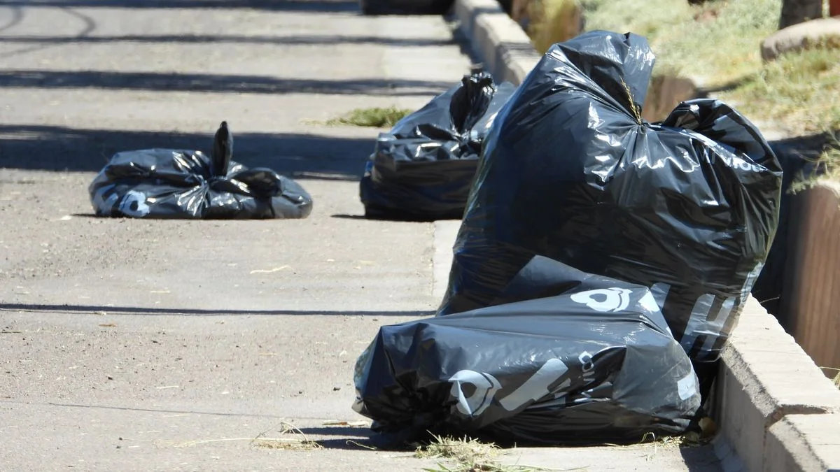 Ya rige la nueva ley de residuos sólidos urbanos: cuáles son los cambios más importantes