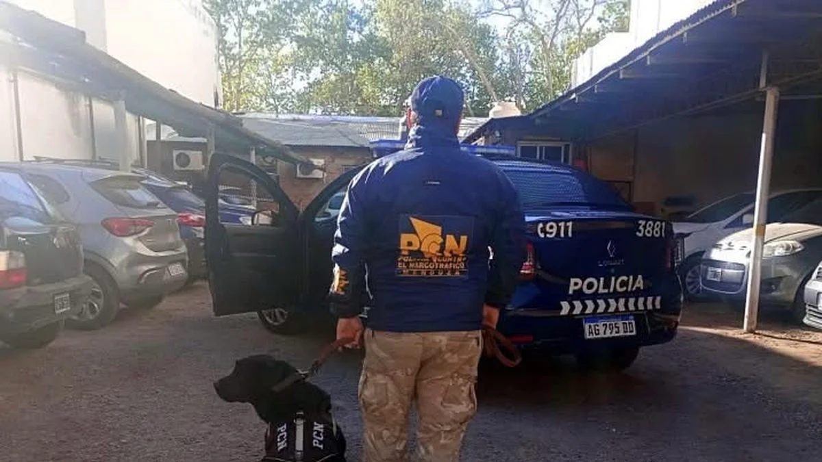Droga en San Rafael: usaban una playa de estacionamiento como base