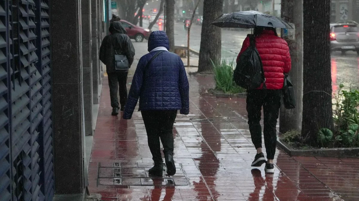 Casas inundadas, caída de árboles y más daños: el saldo del paso de la tormenta de Santa Rosa en Mendoza