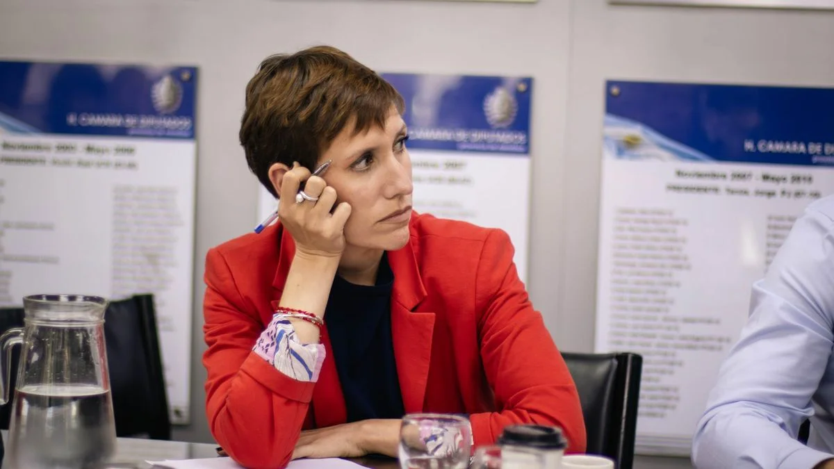 Glaciares: Latorre negó que Cornejo le haya propuesto a Milei cambiar la ley, pero baraja un protocolo