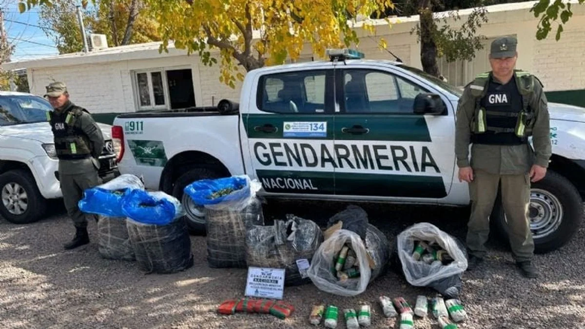 Gendarmería Nacional incautó 130 kilos de hojas de coca que eran trasportados en un camión de encomiendas