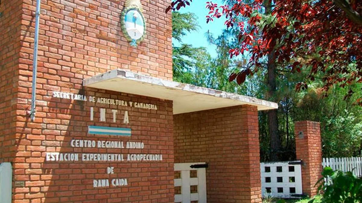Abrazo simbólico en el INTA: trabajadores convocan a una medida de fuerza contra la reforma del Gobierno