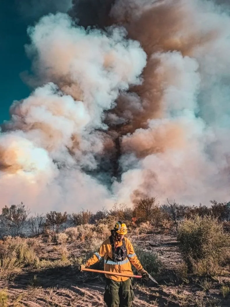 El fuego suele azotar campos en verano.&nbsp;