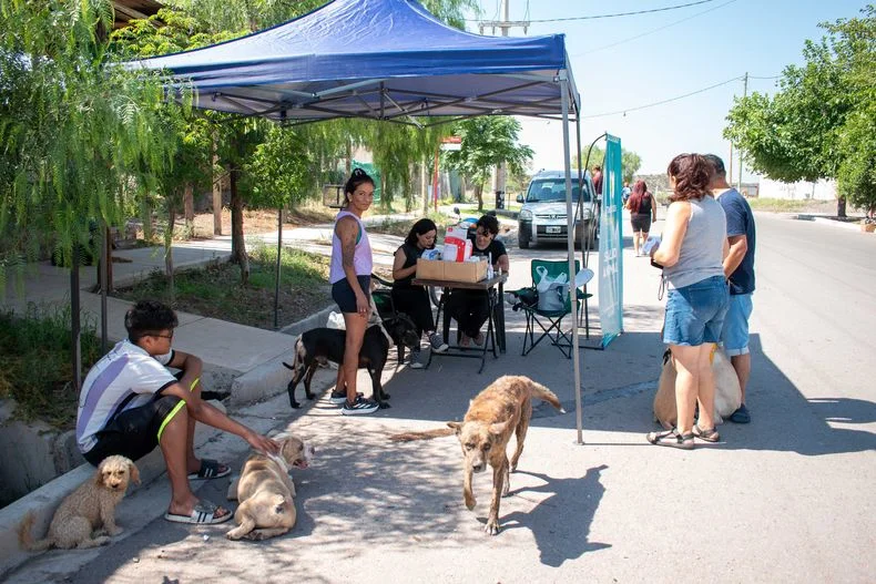 Hay municipios que ejecutan campa&ntilde;as de sanidad animal pero una diputada quiere saber qu&eacute; pasa con la ley provincial que dispone fondos para campa&ntilde;as de esterilizaci&oacute;n.&nbsp;