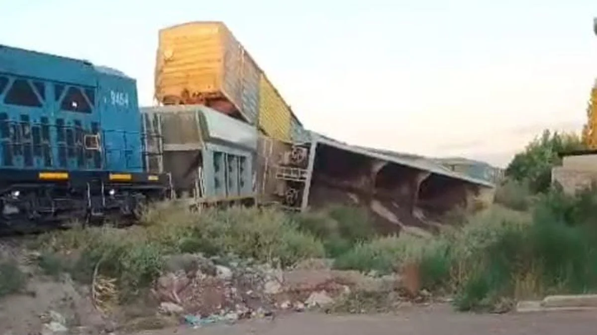 Un tren que transportaba cemento descarriló en San Martín